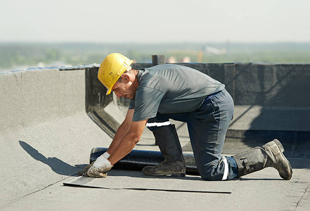 Best Specialty Insulation in Casa Grande, AZ